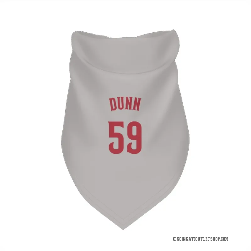 Blake Dunn Gray Cincinnati Reds Cat & Dog Pet Bandana